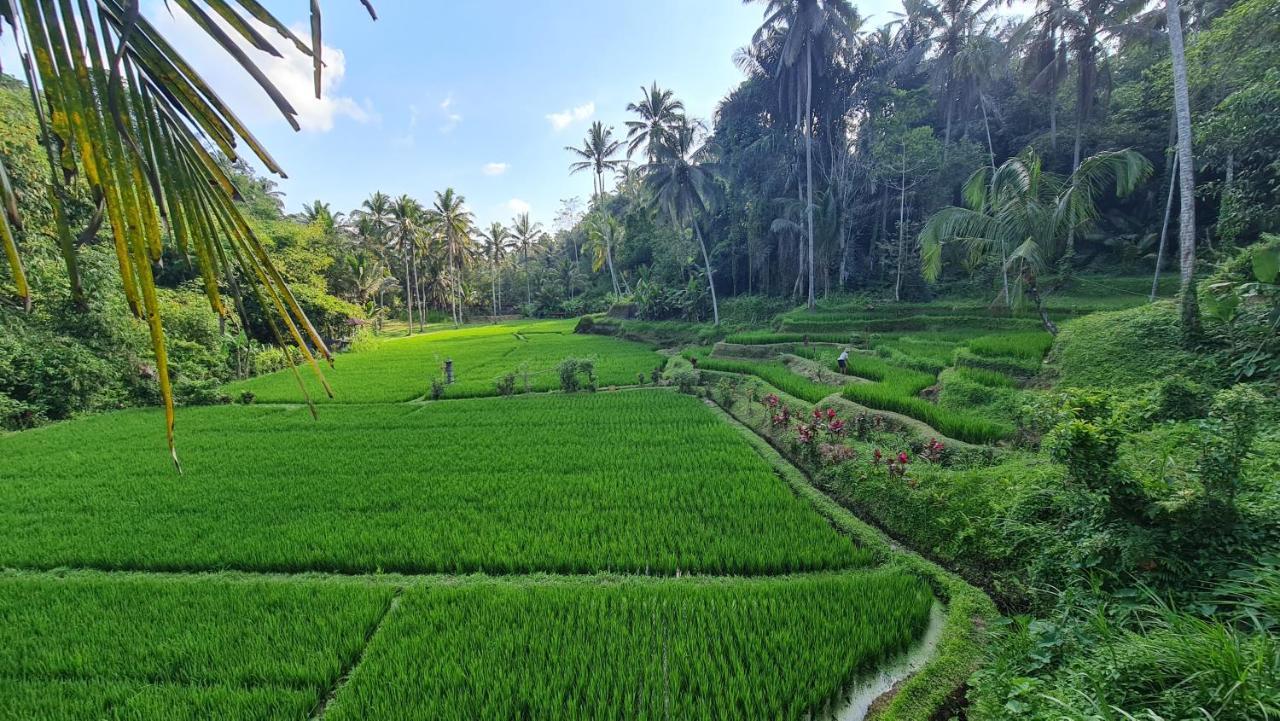 Tirta Sari Villa Tampaksiring Ngoại thất bức ảnh