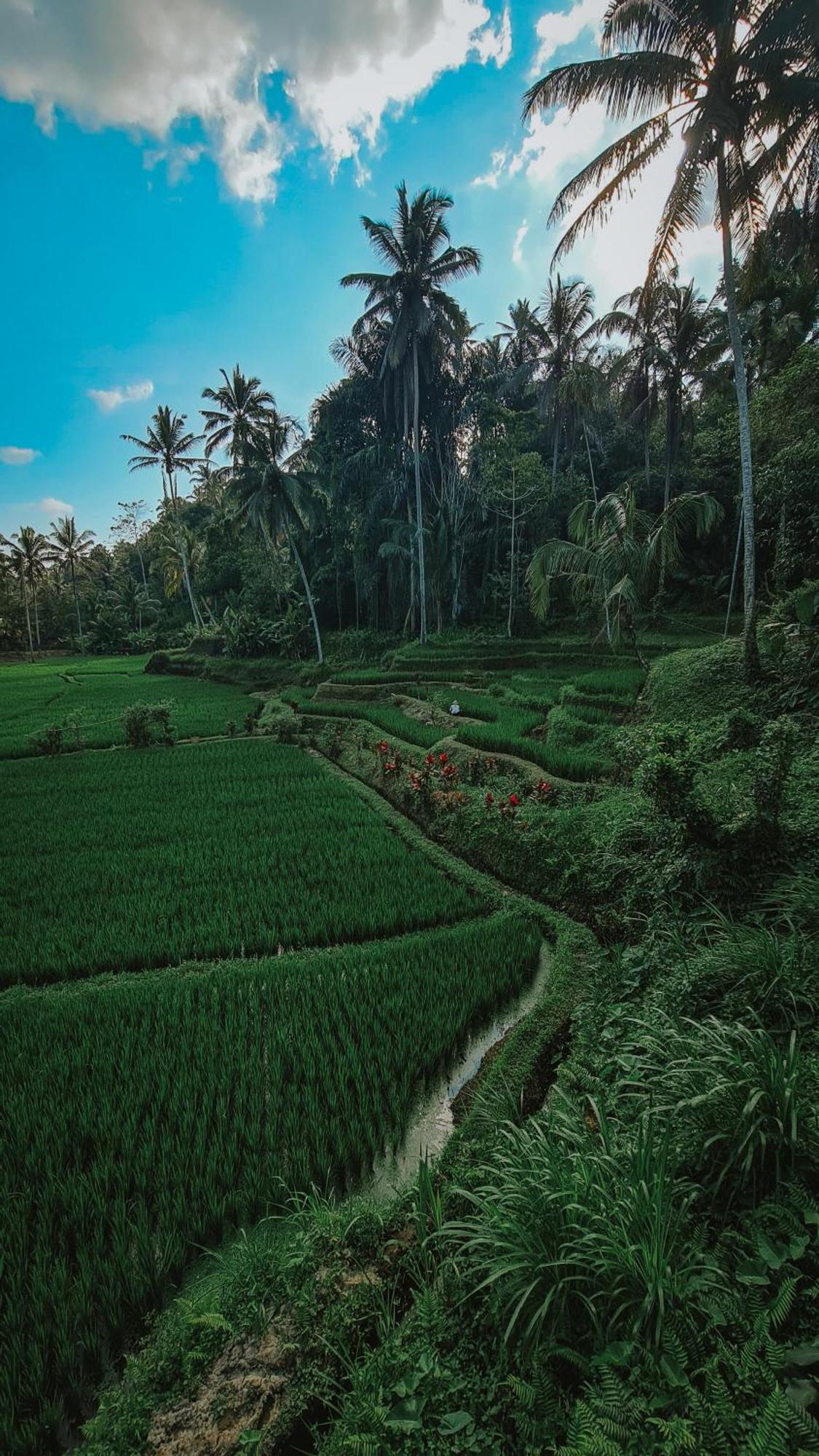 Tirta Sari Villa Tampaksiring Ngoại thất bức ảnh