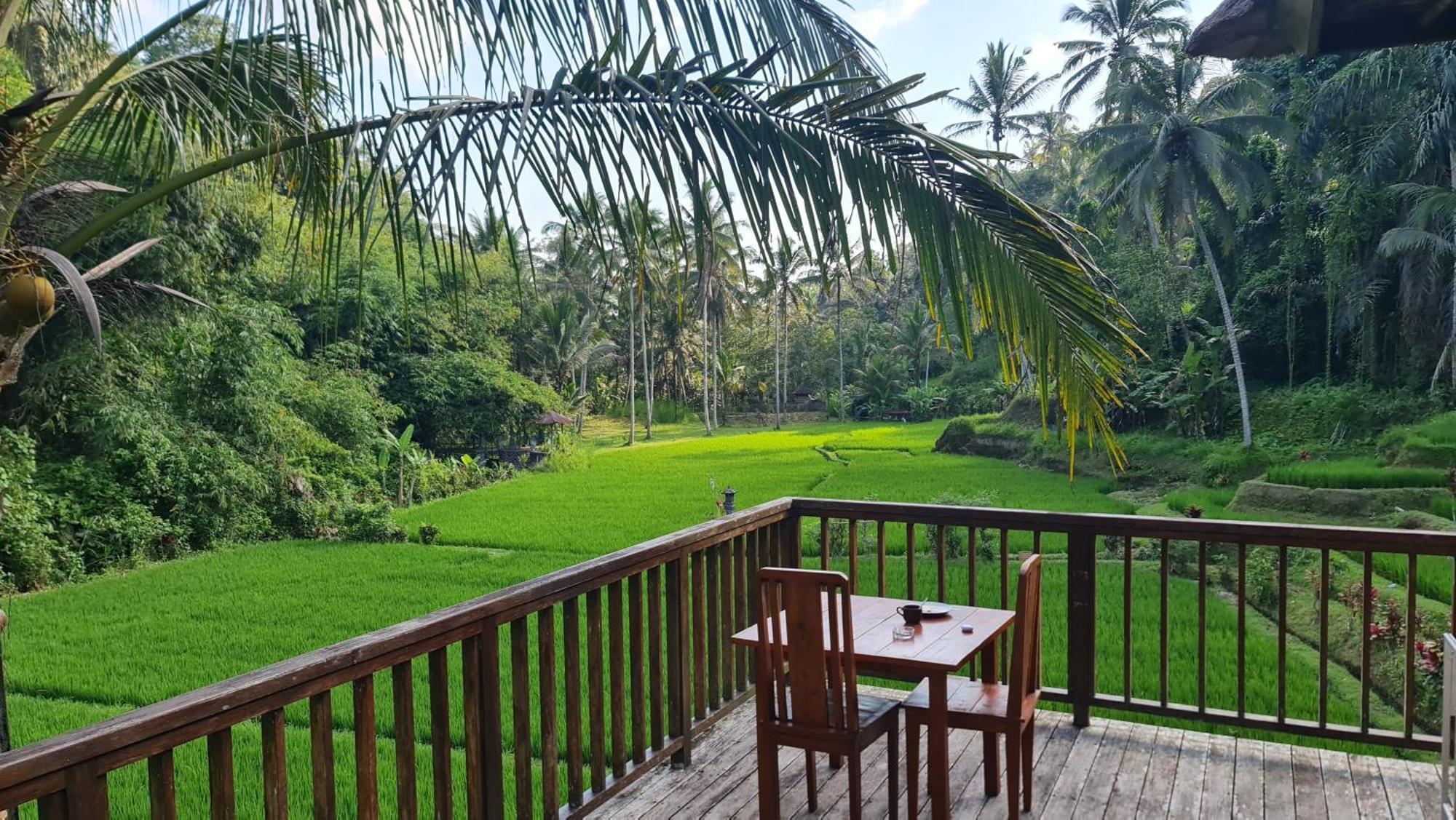 Tirta Sari Villa Tampaksiring Ngoại thất bức ảnh